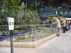 Botanical Garden Atocha