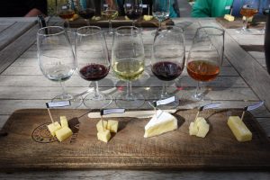 5 glasses of wine with 5 different cheeses