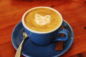 cup of coffee with cat in milk foam