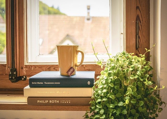books, plant and coffee in window
