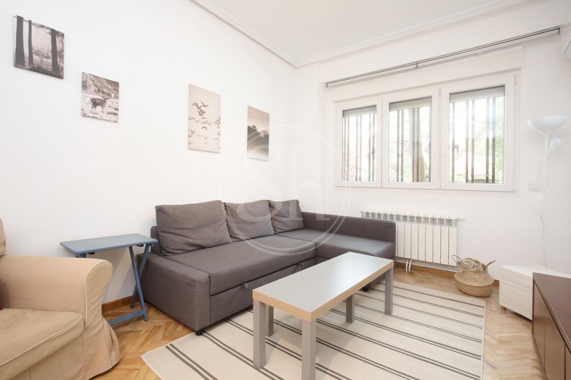 property_image_5