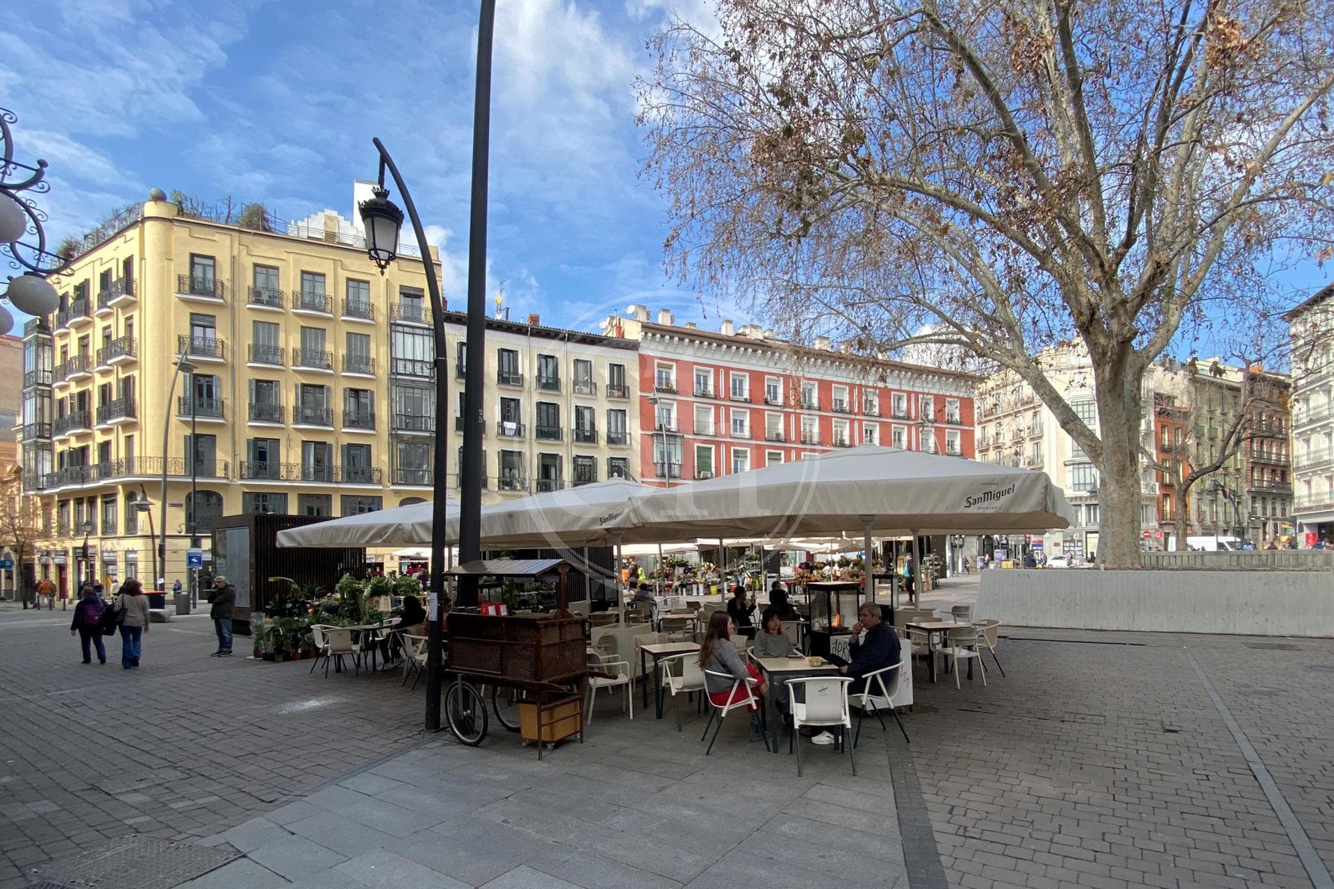 property_image_18