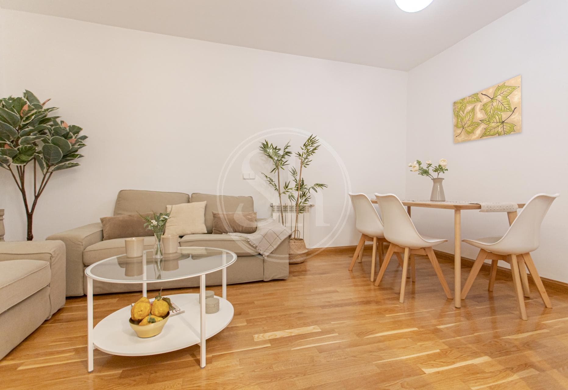property_image_4