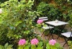 Why Take Time Out To Visit Café del Jardín