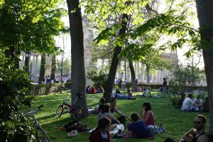 Retiro_Park_Madrid