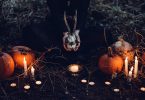 halloween setting pumpkins candles