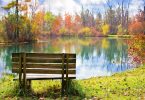 paysage d'automne avec des arbres et des feuilles oranges et vertes devant un lac et un banc en bois